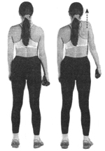 Упражнение для мышц шеи фото Упражнение для мышц шеи фото