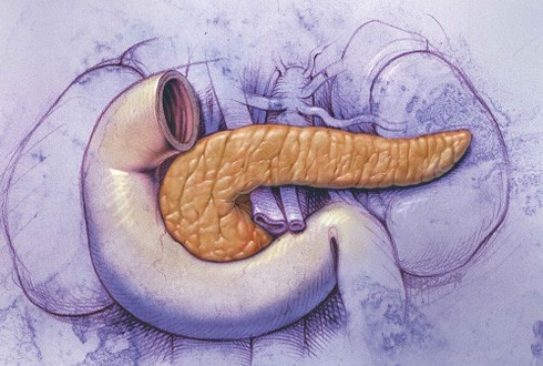 Лечение заболеваний поджелудочной железы