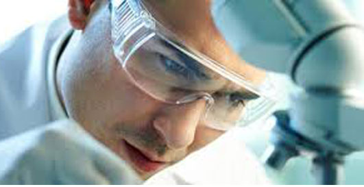 Лобковый педикулез, лечение, симптомы и причины