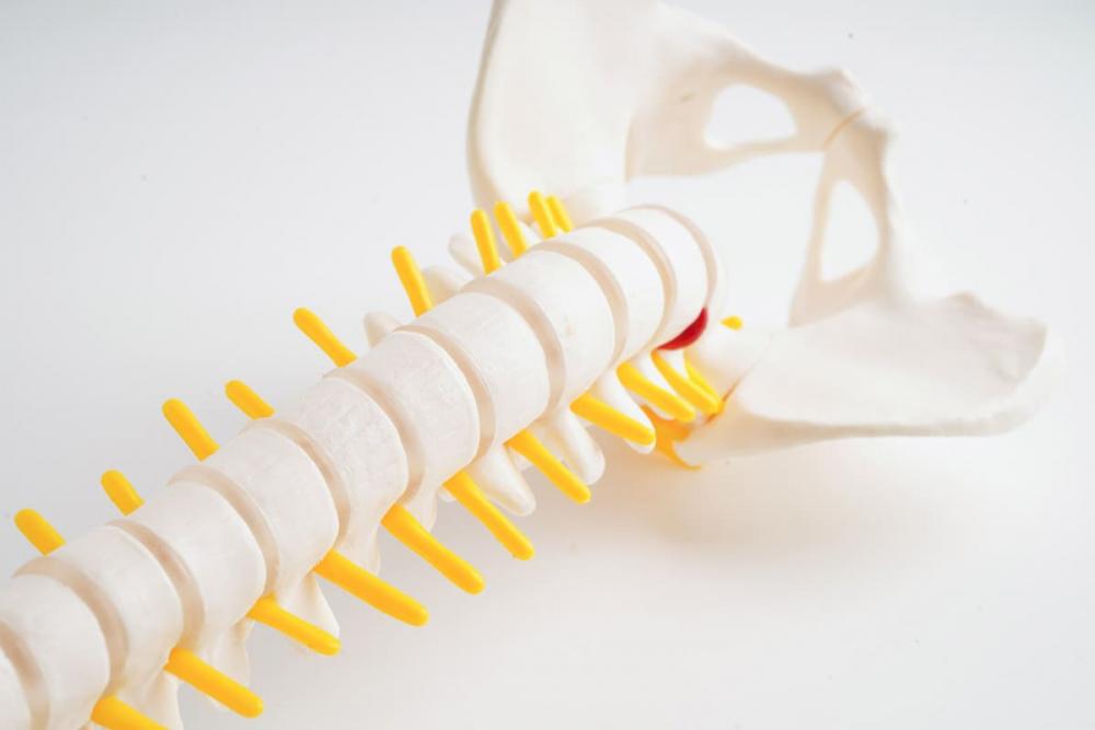 Относительный стеноз позвоночного канала