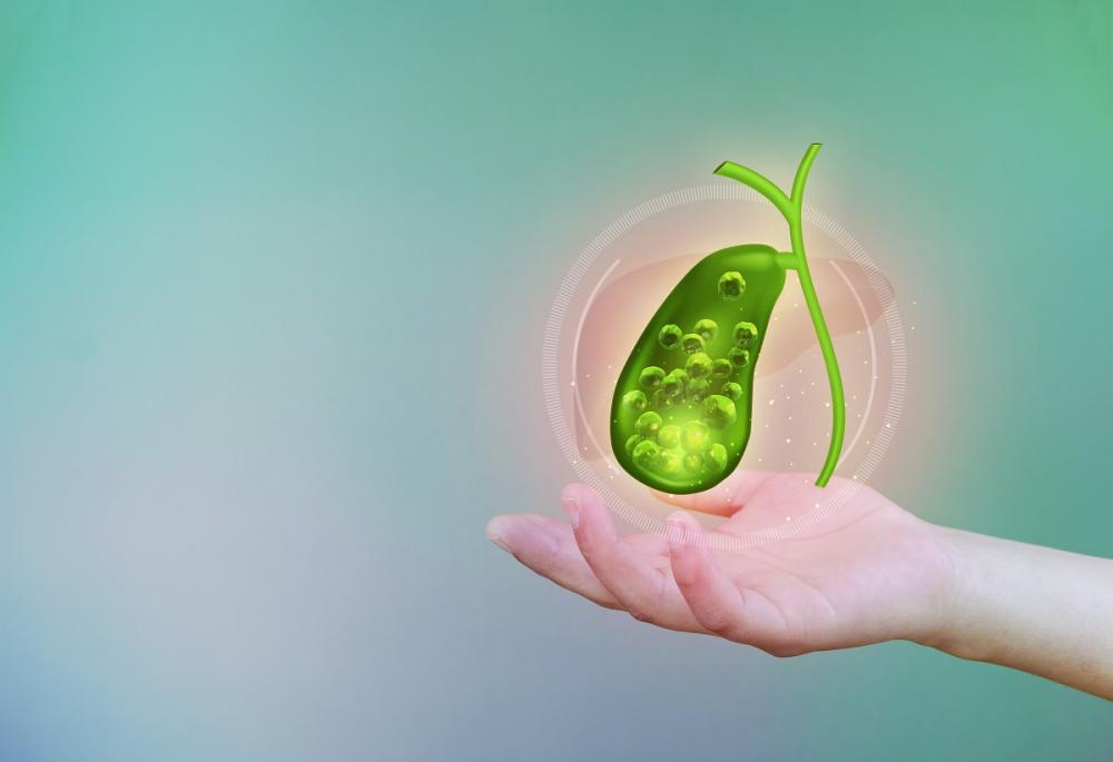 Желчнокаменная болезнь