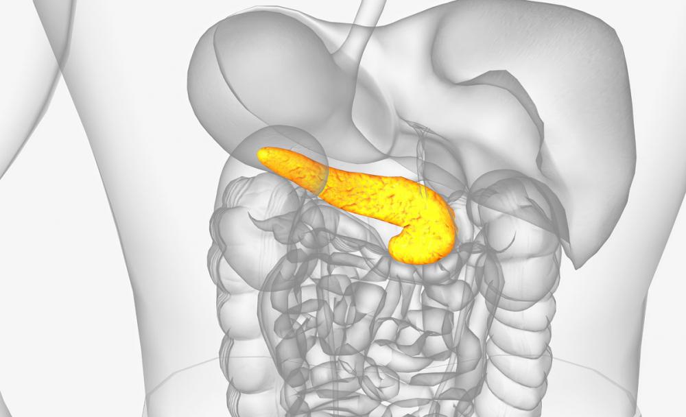 Фиброз поджелудочной железы