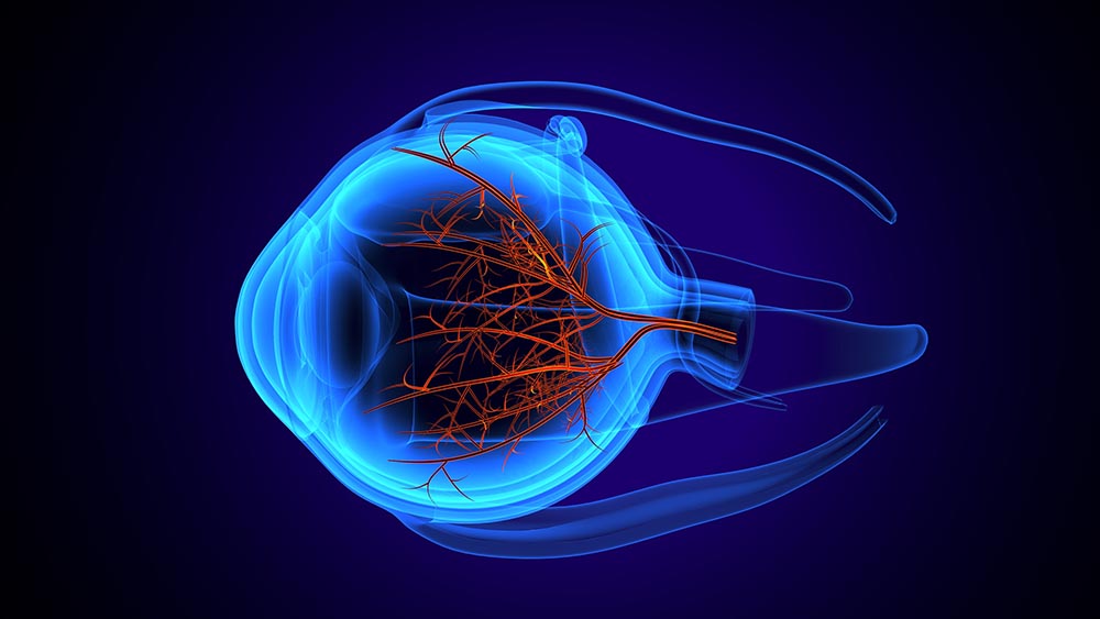 Заболевания глаз - 2 Заболевания глаз - 2