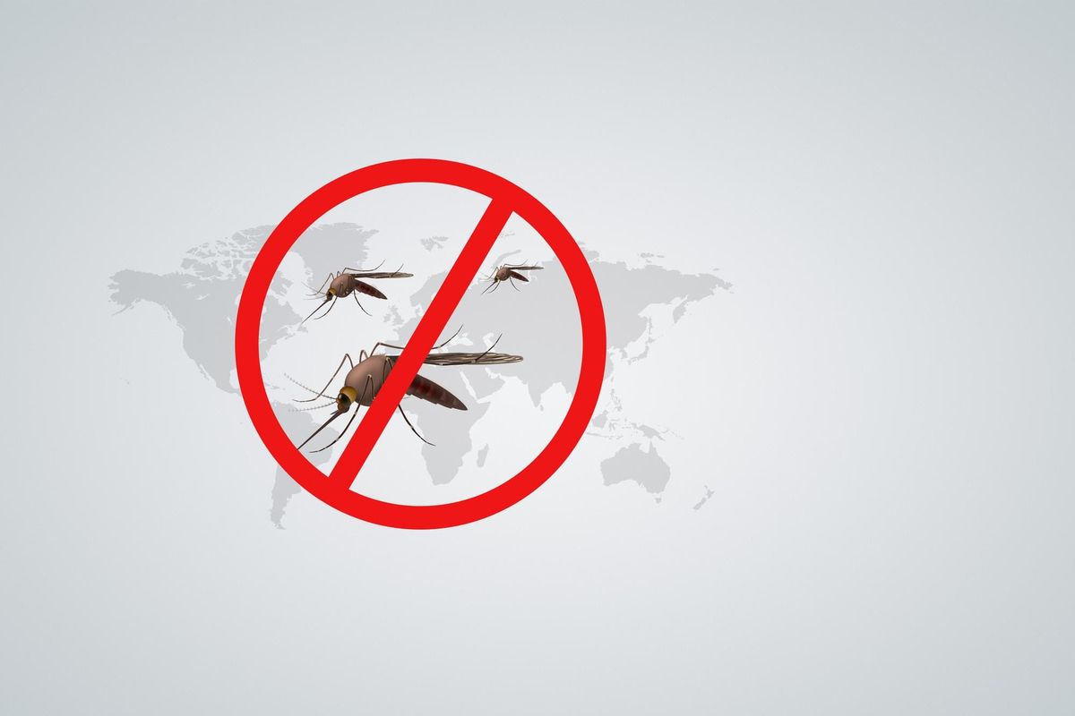 Малярия: путешествия