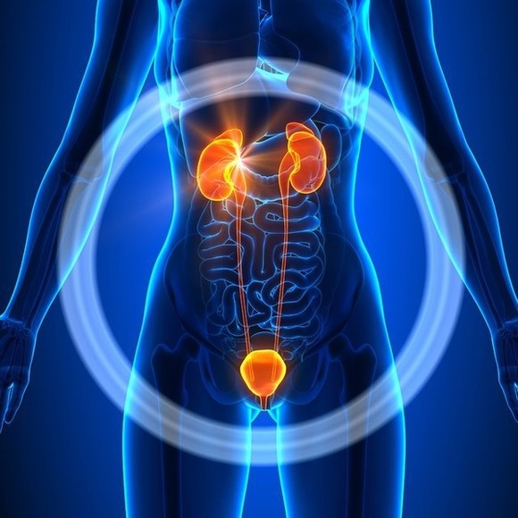 КТ мочевого пузыря и мочевыделительной системы в Москве