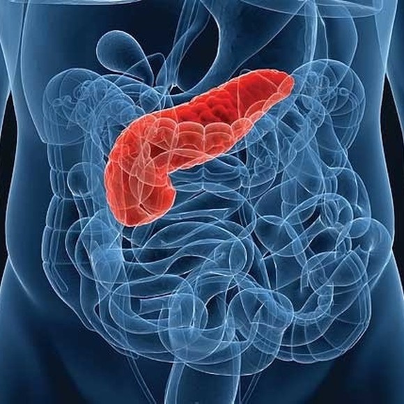 КТ поджелудочной железы в Москве