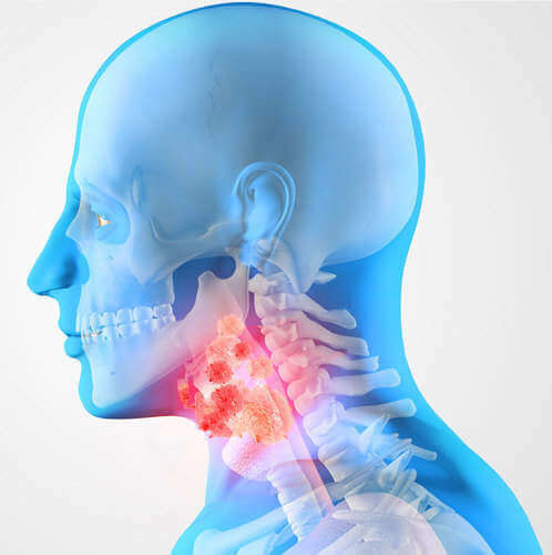 КТ горла и гортани в Москве