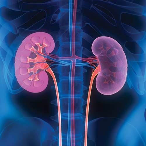 КТ почек в Москве