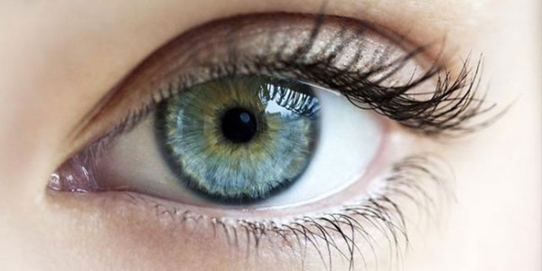 Основные виды заболеваний сетчатки Основные виды заболеваний сетчатки