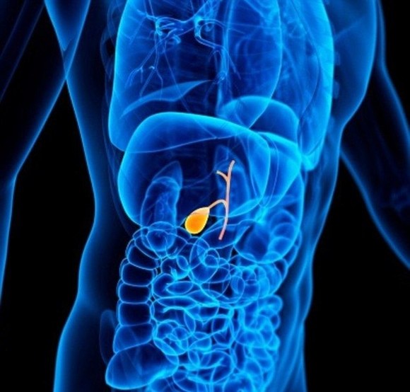 УЗИ желчного пузыря в Москве