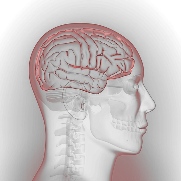 МРТ головного мозга в Москве