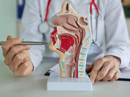 Что показывает МРТ горла и гортани 
