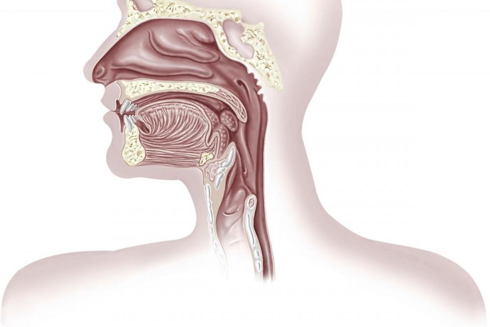 Сопли текут по задней стенке горла