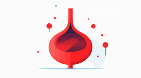 Кровь из уретры у женщин